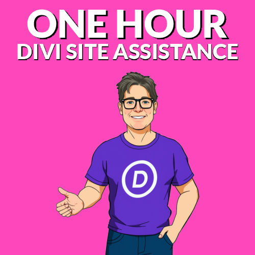 Divi Site Assistance - One Hour